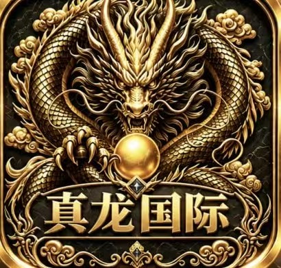 真龙国际